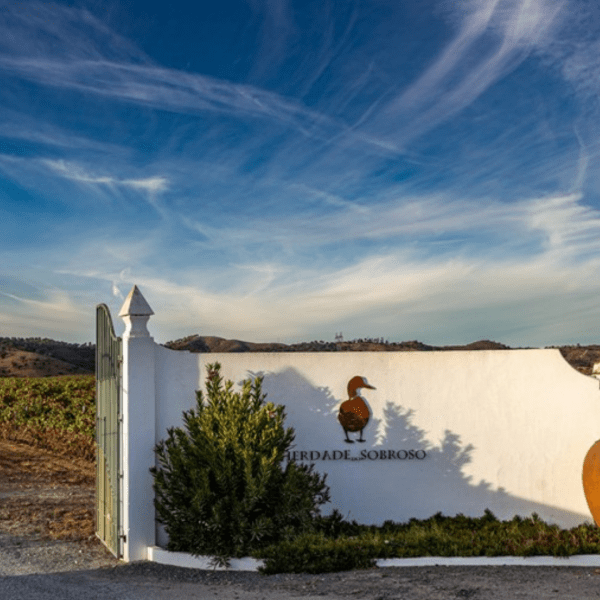 A captivating entrance framed by lush vineyards and scenic landscapes. Discover the essence of our estate as you step into a world where tradition meets modernity. Immerse yourself in the beauty of nature and the rich heritage of our vineyard. Plan your escape to a haven of tranquility, where the promise of exceptional experiences begins at the entrance of Herdade do Sobroso.